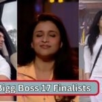 Bigg Boss 17 Finalists
